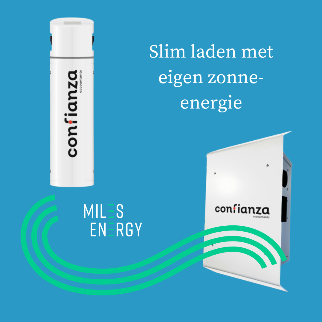 Confianza laadpalen