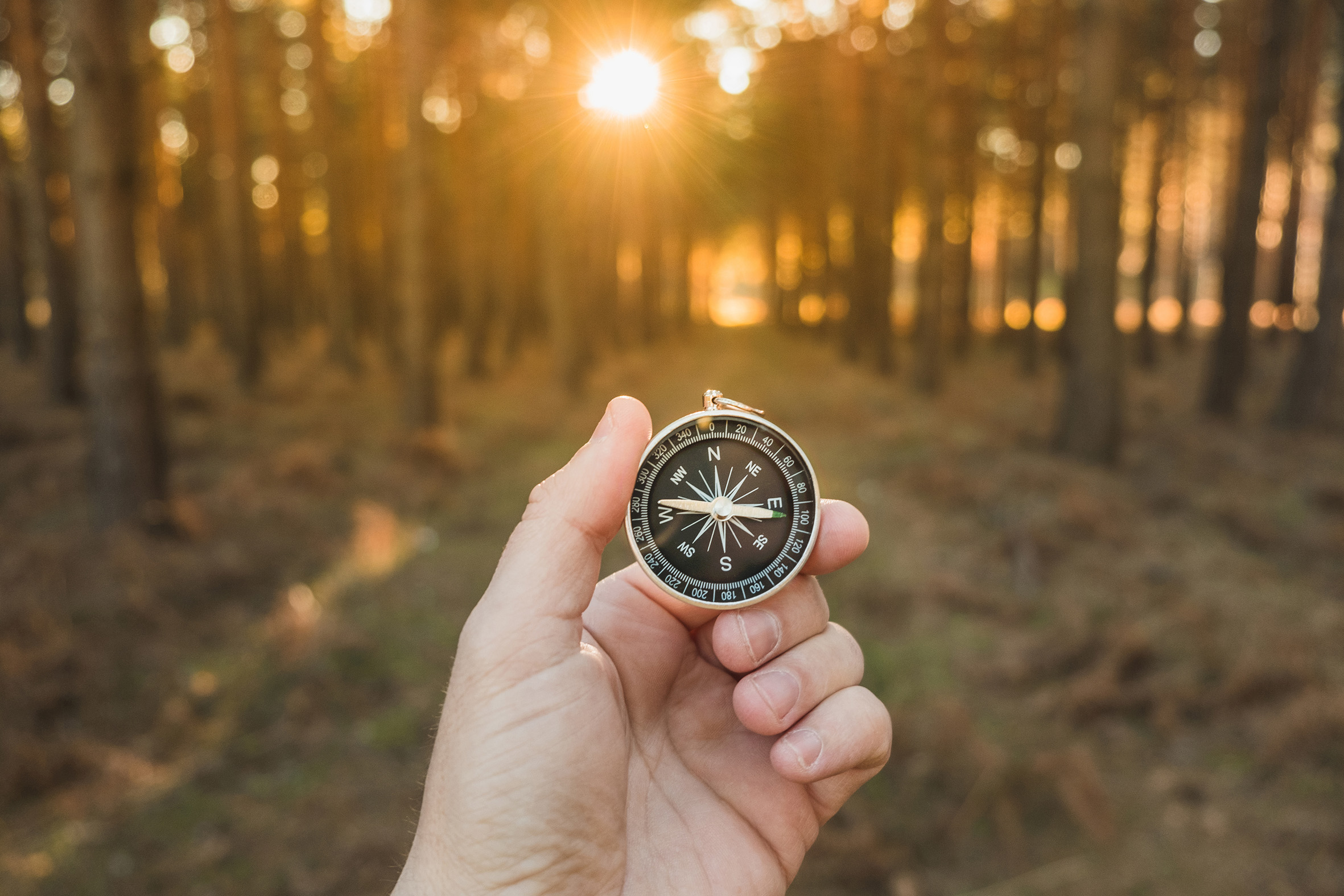 iStock-1364920162---kompas