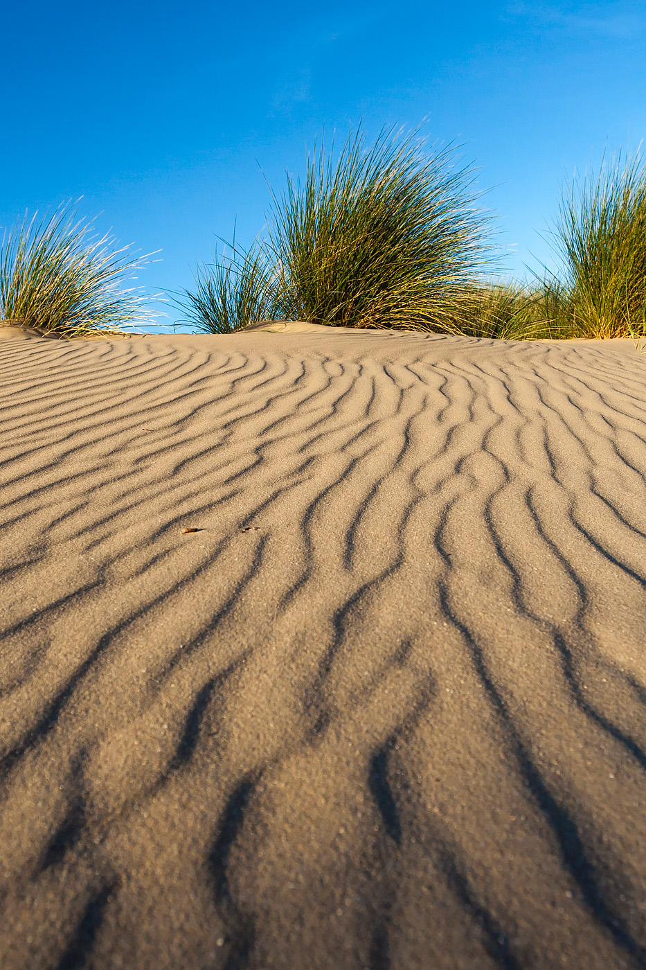 AGAMI-Patterns-in-sand-Marc-Guyt-101968