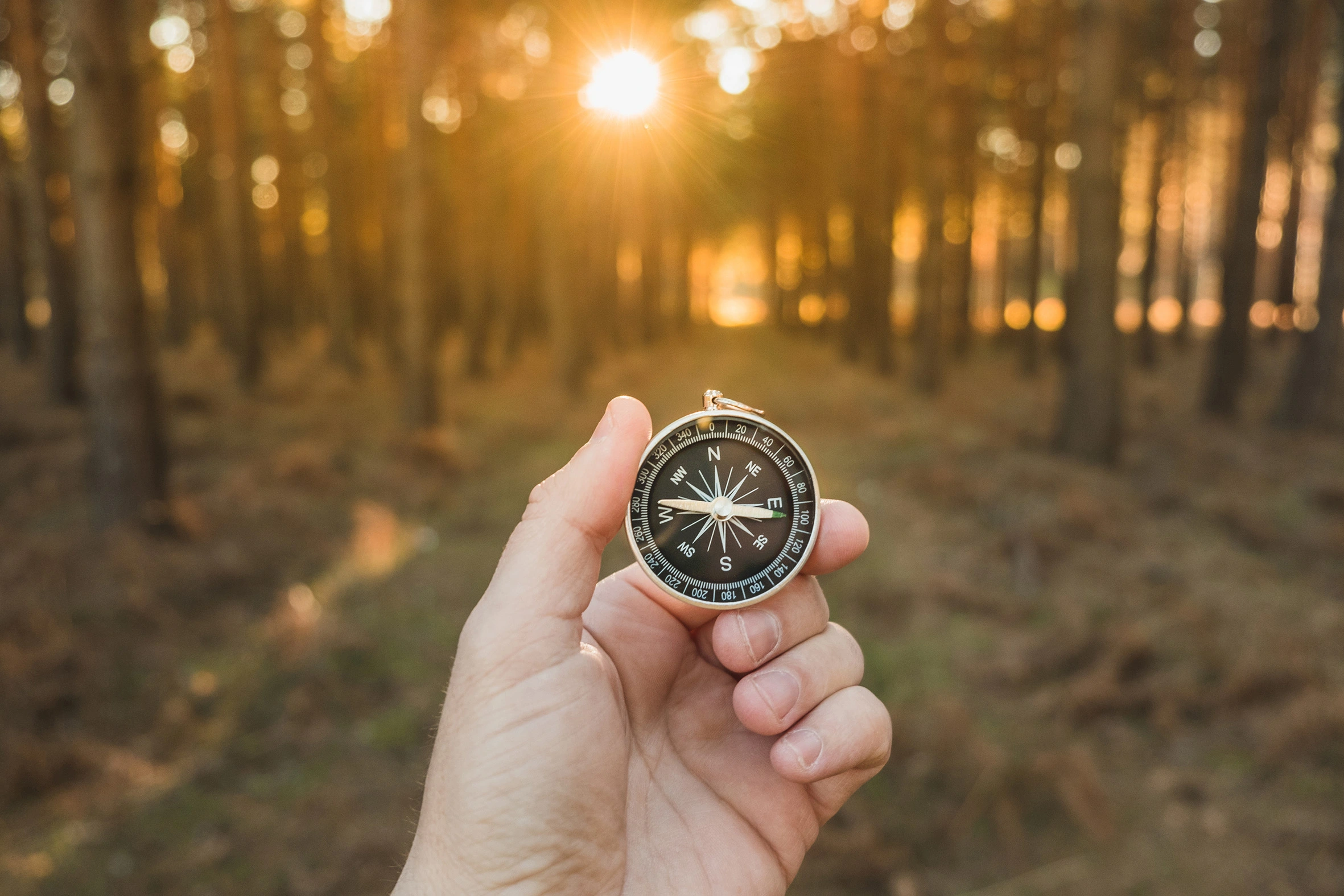 iStock-1364920162 - kompas